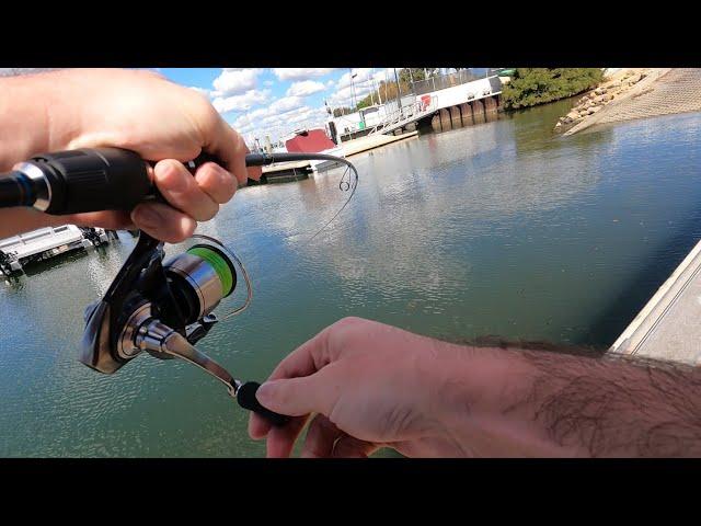 The Bream Only Wanted This Lure! - Fishing Swan River Perth