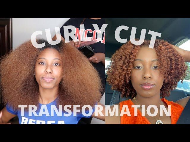 I Got A Curly Cut  | Natural Hair Styles | Mia Ashanti 