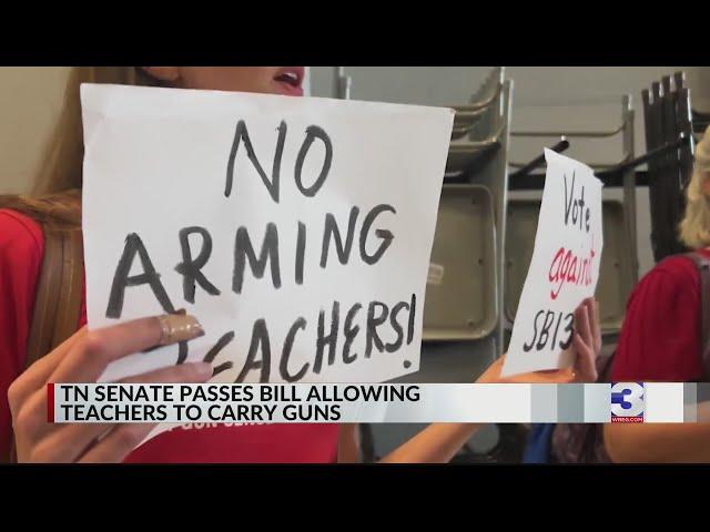 Tennessee Senate passes bill allowing teachers to carry guns in school