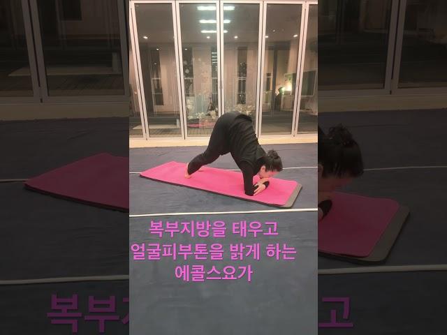 전신의 지방을. 태우고 얼굴 피부톤을 밝게 하는 에콜스요가