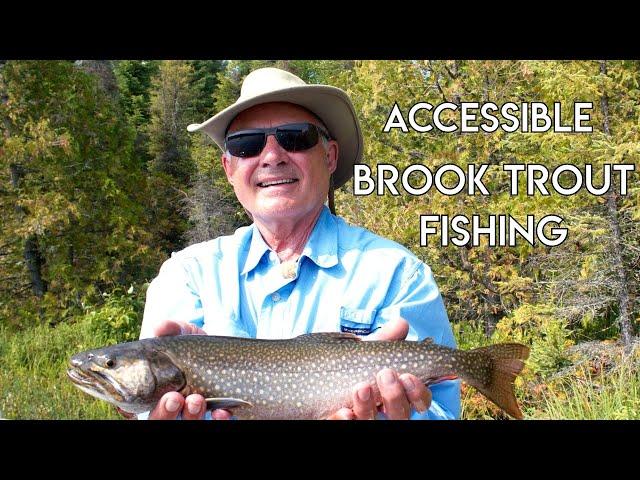 Brook Trout Fly Fishing | Ritchie Falls Resort