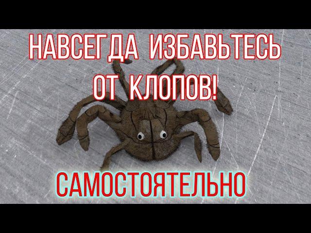 Клопы | Избавление от клопов| 100гарантия!!!