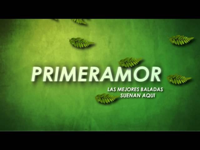 PRESENTACIÓN DEL CANAL PRIMERAM0R
