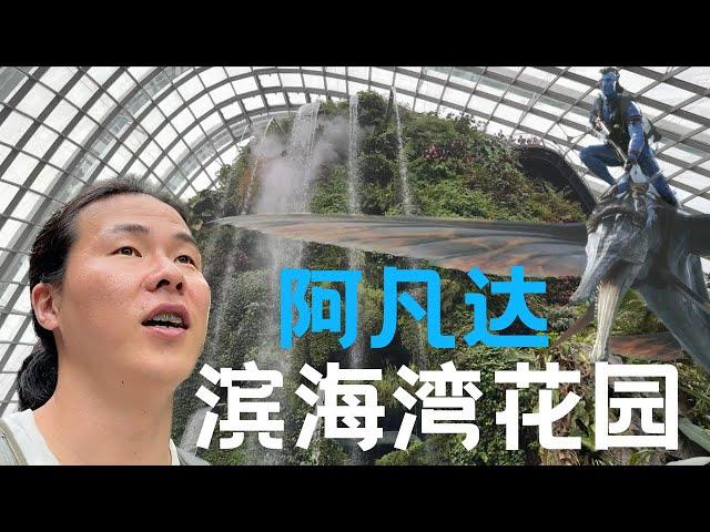 27. 新加坡旅游 滨海湾花园 花穹 奇幻花园 云雾林 | Travel in Singapore, Gardens by the Bay