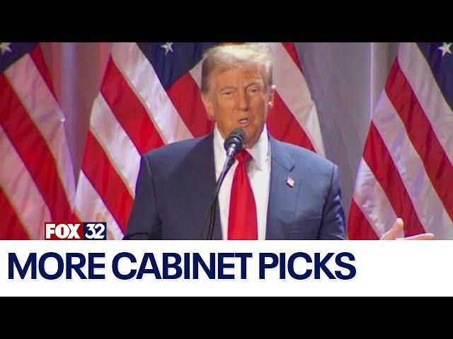 Trump makes more cabinet picks