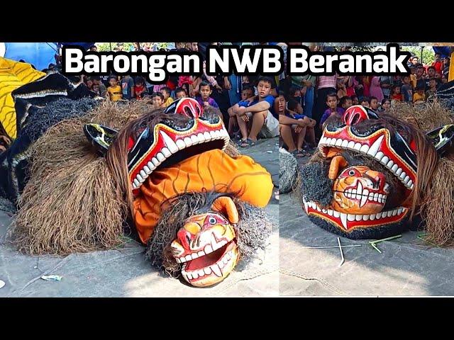 Dan Terjadi lagi....!!! Barongan NWB Beranak di Mentosari Gringsing ~ Ngesti Wargo Budoyo