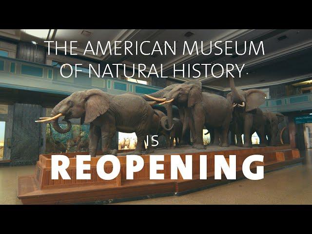 The American Museum of Natural History is Now Open!