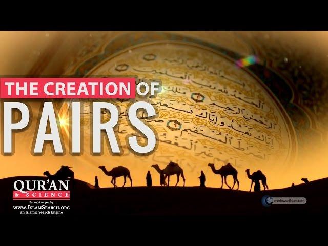 The Creation of Pairs ┇ Quran and Modern Science ┇ LearnQuran.net