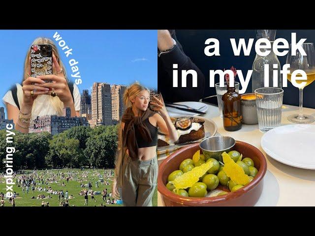 a week in my life in NYC  zantore moving, hosting a party, apartment updates, work