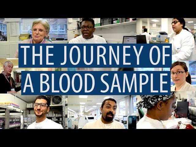 The journey of a blood sample #DiscoverPathology