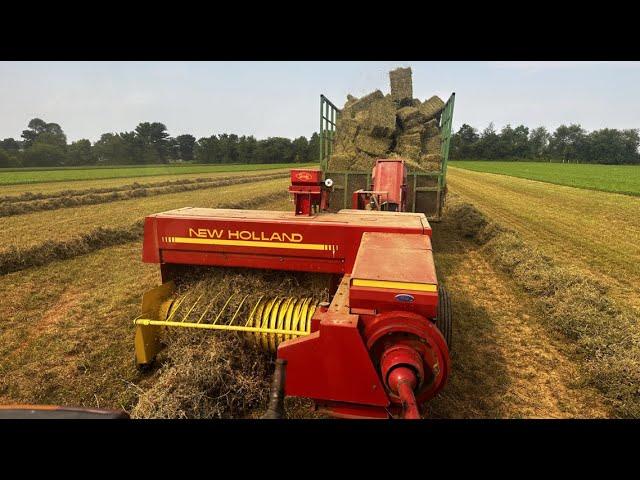 Young Farmer makes INSANE PREMIUM ALFALFA!!! (Baling Hay with NH 316)