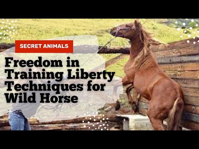 Freedom in Training Liberty Techniques for Wild Horse Communication @secret_animals