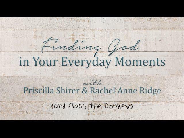 Finding God in Your Everyday Moments: Rachel Anne Ridge, Priscilla Shirer & Flash the Donkey