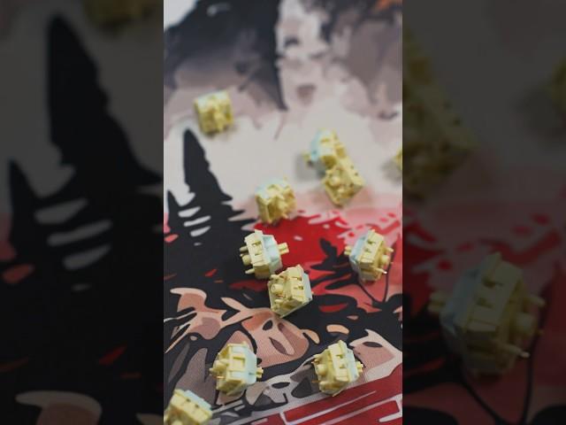 Keybay Bluecheese in Freya Ultra! Check out the full review on my channel