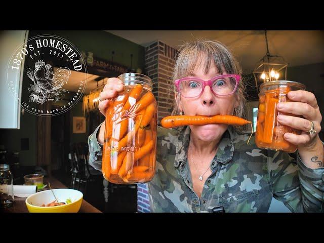 Preserving Carrots | Ideas for a Fresh Crunch