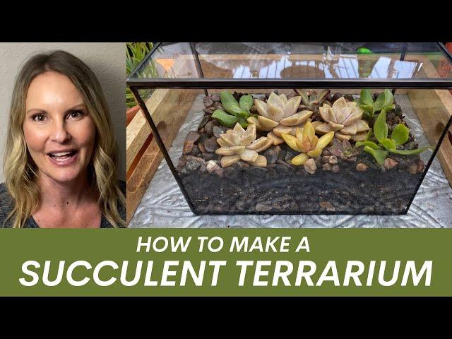 How to make a succulent terrarium by Ferrisland with Moody Blooms