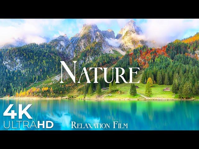 Nature Relaxation Film 4K - Beautiful Relaxing Music - Video Ultra HD