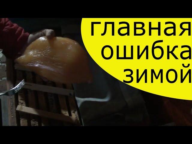 Подкормка пчел зимой - когда и как ? Зимняя подкормка пчёл мёдом.