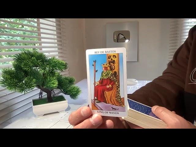 TAURO 23 AL 30 NOVIEMBRE 2024 :::: HOROSCOPO HOY TAROT