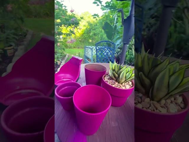 Reciclando #macetas y pintando #pink #barbie #youtubeshorts #plant #jardin #pot #shorts