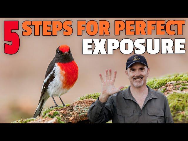How To Achieve the Correct Exposure Every Time for Wildlife Photography!