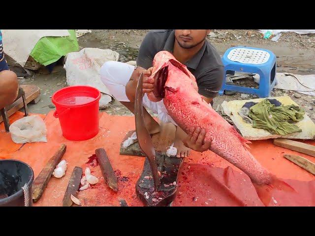 Amazing Bighead Fish Cutting Skills Live In Fish Market | Fish Cutting Skills