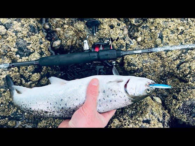 Lure Fishing For Sea Trout | West of Scotland