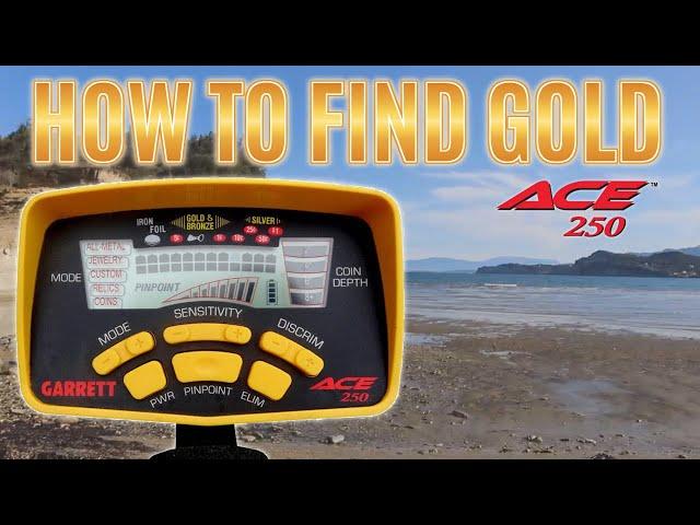 Garrett Ace 250 Metal Detector How to find Gold at the Beach