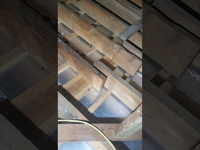 Home support beam project