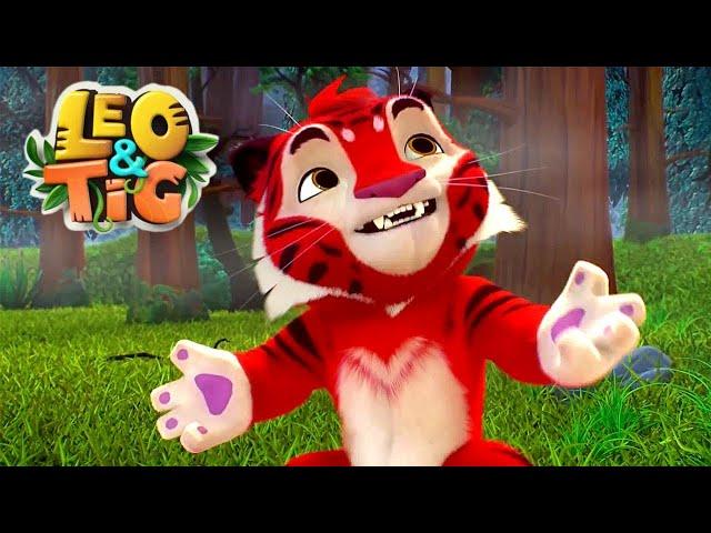 Leo and Tig  LIVE  Best Episodes  Cartoon for kids Kedoo Toons TV