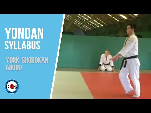 Shodokan Aikido Yondan syllabus - Section 3: Waza vs strikes - pt 2 (explanation)