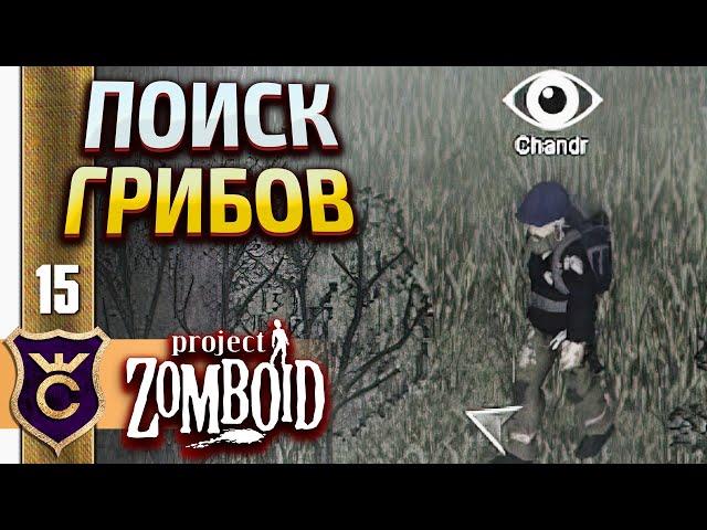 ИЗУЧАЮ СОБИРАТЕЛЬСТВО! Project Zomboid #15