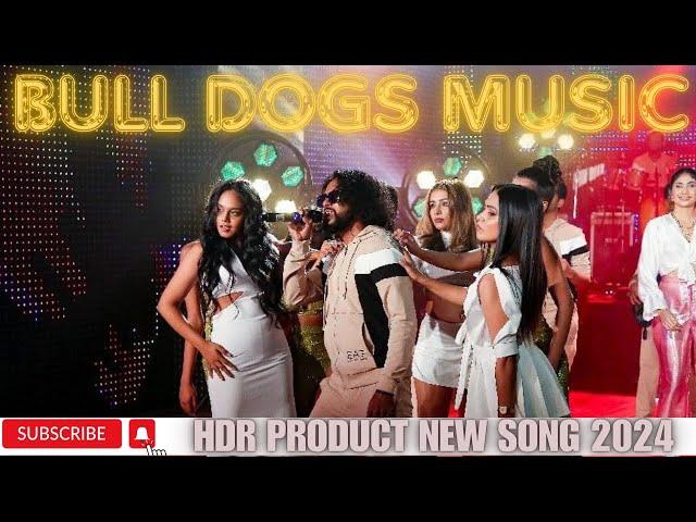 Bull Dogs Nonstop 2024 HDR music video