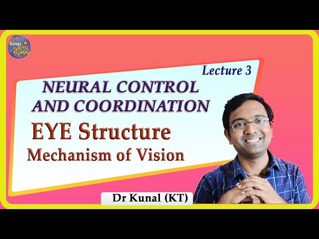 Eye Structure and Mechanism of Vision I NEET I Dr Kunal Tatte (KT)