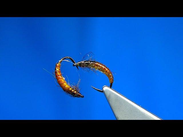 Tying a Czech Nymph with Davie McPhail