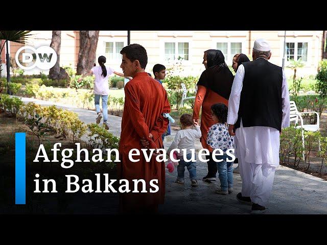 Many evacuated Afghans find shelter in Balkan countries, particularly Albania | DW News