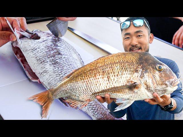 FISHING JAPAN | Master Class in Filleting Fish(Japanese Technique)