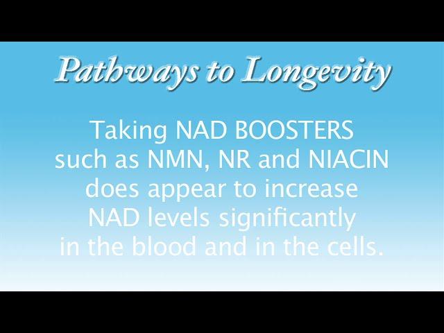 ANTI-AGING and LIFE EXTENSION: Raise your NAD LEVELS inexpensively with APIGENIN