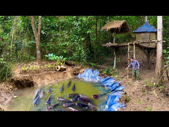 Survive and build a life in the forest to improve land to make fish ponds/ly ngoc thien