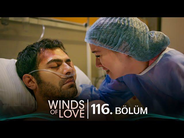 Rüzgarlı Tepe 116. Bölüm | Winds of Love Episode 116
