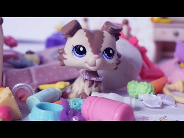 LPS Tidy Your Room! Littlest Pet Shop Skit