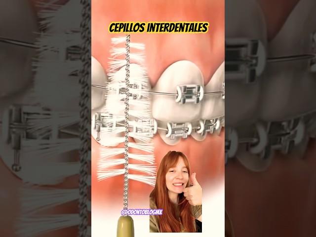  #cepillosinterdentales #higieneinterdental #bracket #brackets #ortodoncia #bracketsmetalicos