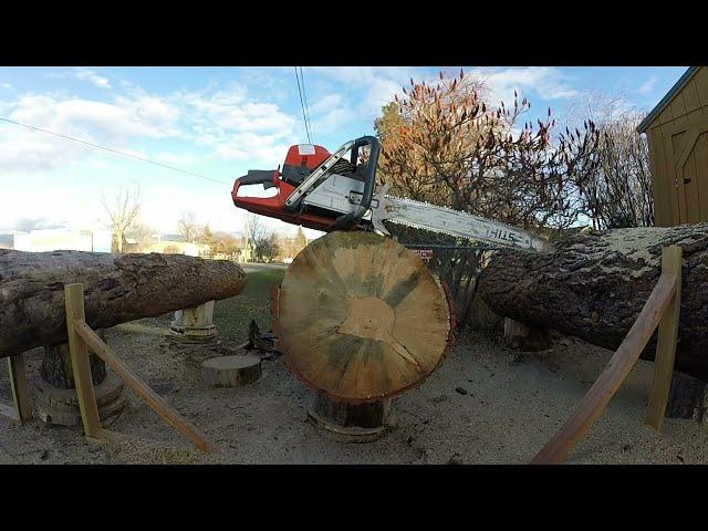 Mystery Husqvarna 5 Series Saw vs Stihl 5ooi - Woodlot Session