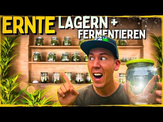 Die Ernte ist da  Lagern und richtig Fermentieren für Anfänger!