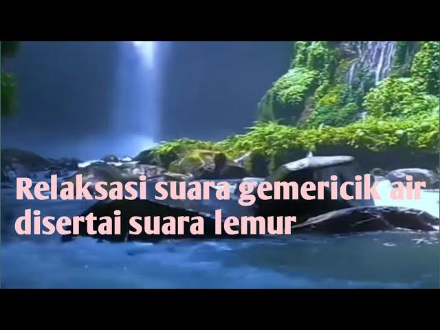 RELAKSASI SUARA GEMERICIK AIR DISERTAI SUARA LEMUR