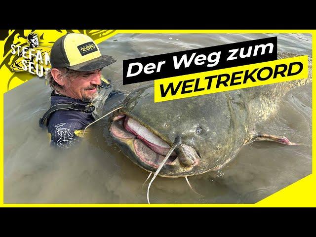 Der WEG zum WELTREKORD WELS !! | 25 Jahre jage ich diesen Fisch !!