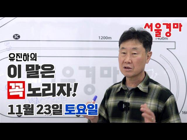 유진하의 이 말은 꼭 노리자!(2024년 11월 23일 토요일)