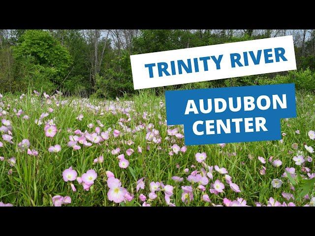 Trinity River Audubon Center - Dallas, TX