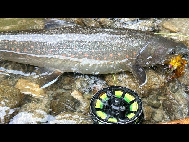 Adventuring in the BackCountry! HIKING & FLY FISHING Washington's Cascade Mountains for Trout!!!