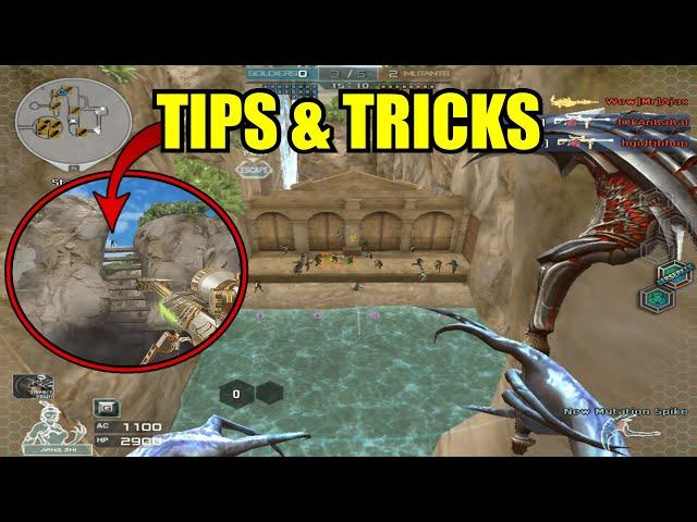 CrossFire: Treasure Island - Tips & Tricks